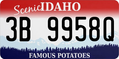 ID license plate 3B9958Q