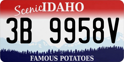 ID license plate 3B9958V