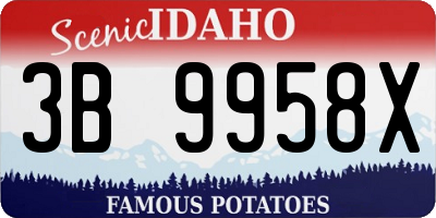 ID license plate 3B9958X