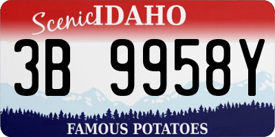 ID license plate 3B9958Y