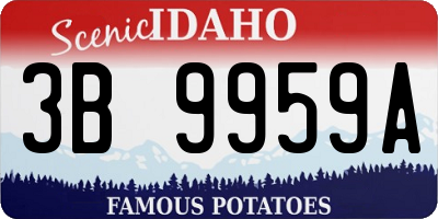 ID license plate 3B9959A