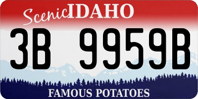 ID license plate 3B9959B