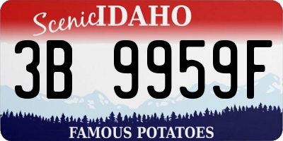 ID license plate 3B9959F
