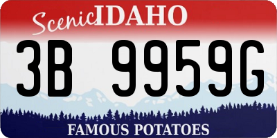 ID license plate 3B9959G