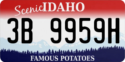 ID license plate 3B9959H