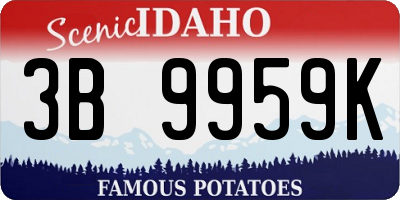 ID license plate 3B9959K