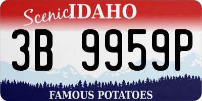 ID license plate 3B9959P