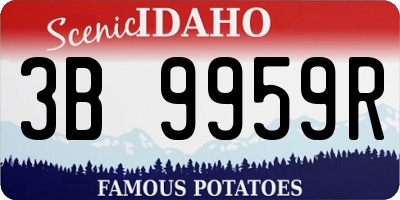 ID license plate 3B9959R