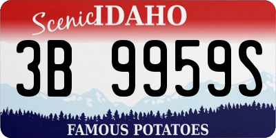 ID license plate 3B9959S