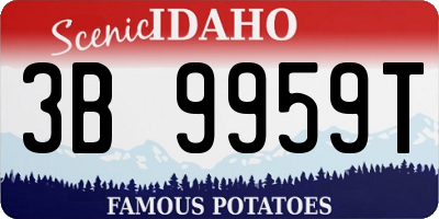 ID license plate 3B9959T