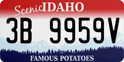 ID license plate 3B9959V
