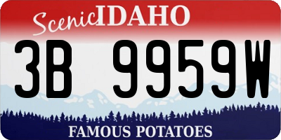ID license plate 3B9959W