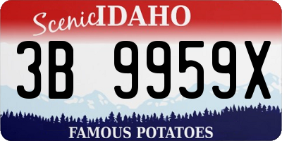 ID license plate 3B9959X