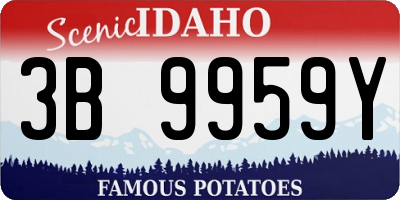 ID license plate 3B9959Y