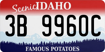 ID license plate 3B9960C