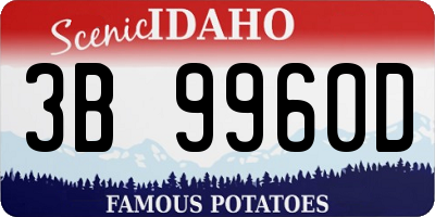 ID license plate 3B9960D