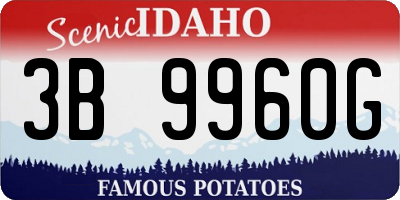 ID license plate 3B9960G