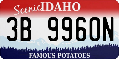 ID license plate 3B9960N