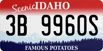 ID license plate 3B9960S