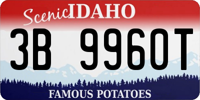ID license plate 3B9960T