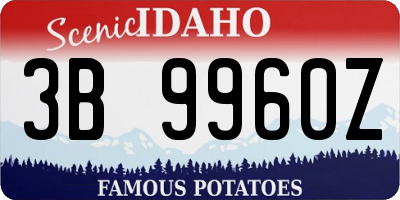 ID license plate 3B9960Z