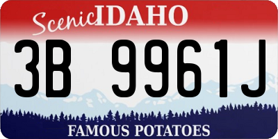 ID license plate 3B9961J
