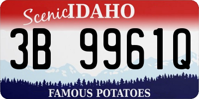 ID license plate 3B9961Q