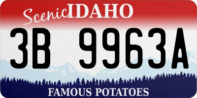 ID license plate 3B9963A