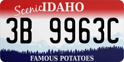 ID license plate 3B9963C