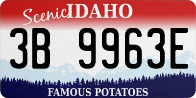 ID license plate 3B9963E