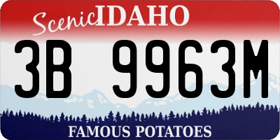 ID license plate 3B9963M