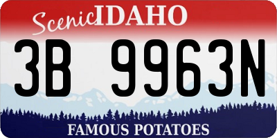 ID license plate 3B9963N