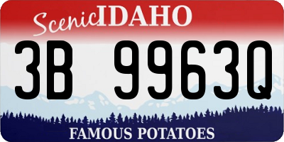 ID license plate 3B9963Q