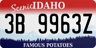 ID license plate 3B9963Z