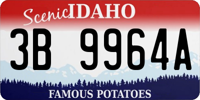 ID license plate 3B9964A