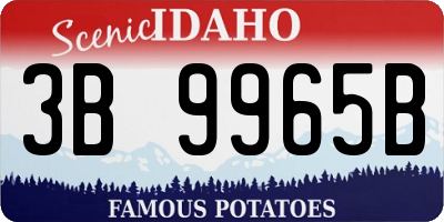 ID license plate 3B9965B