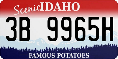 ID license plate 3B9965H