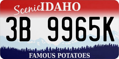 ID license plate 3B9965K