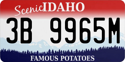 ID license plate 3B9965M