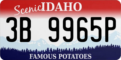 ID license plate 3B9965P
