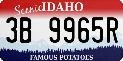 ID license plate 3B9965R