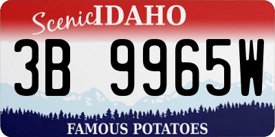 ID license plate 3B9965W