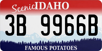 ID license plate 3B9966B