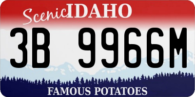 ID license plate 3B9966M