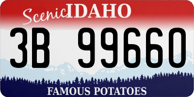 ID license plate 3B9966O