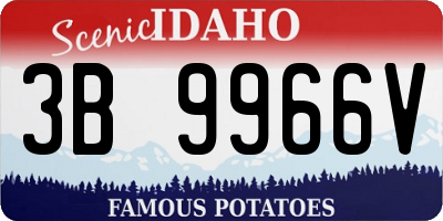 ID license plate 3B9966V