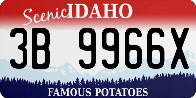 ID license plate 3B9966X