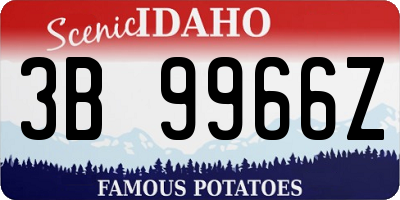 ID license plate 3B9966Z