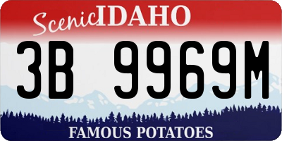 ID license plate 3B9969M