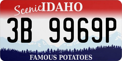ID license plate 3B9969P
